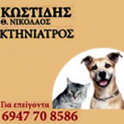 ΚΩΣΤΙΔΗΣ ΝΙΚΟΛΑΟΣ