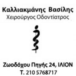 ΚΑΛΛΙΑΚΜΑΝΗΣ ΒΑΣΙΛΕΙΟΣ