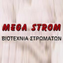 MEGA STROM