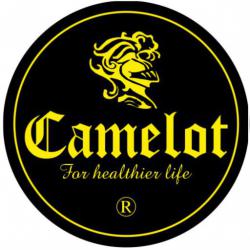 CAMELOT INTERNATIONAL HEALTH ORGANIZATION